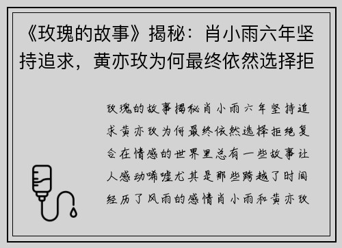 《玫瑰的故事》揭秘：肖小雨六年坚持追求，黄亦玫为何最终依然选择拒绝复合？