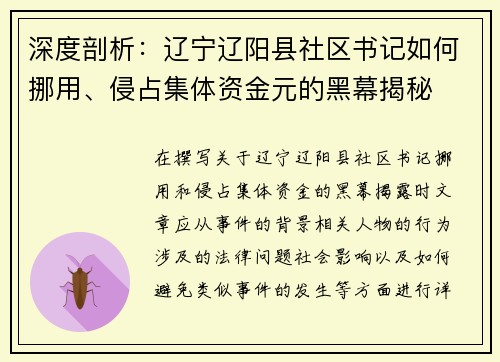 深度剖析：辽宁辽阳县社区书记如何挪用、侵占集体资金元的黑幕揭秘